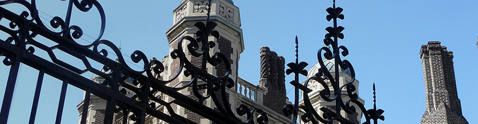 Header Image
